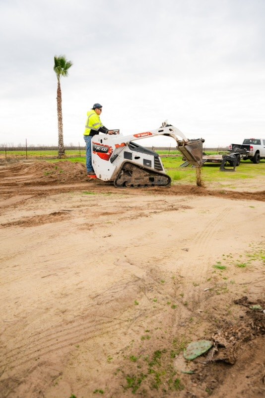 Bobcat grading landscape