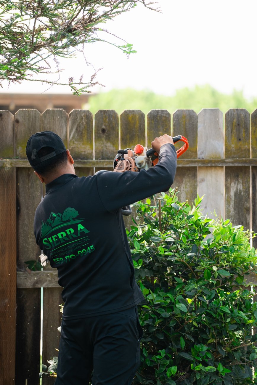 Sierra branded crew trimming shrubs